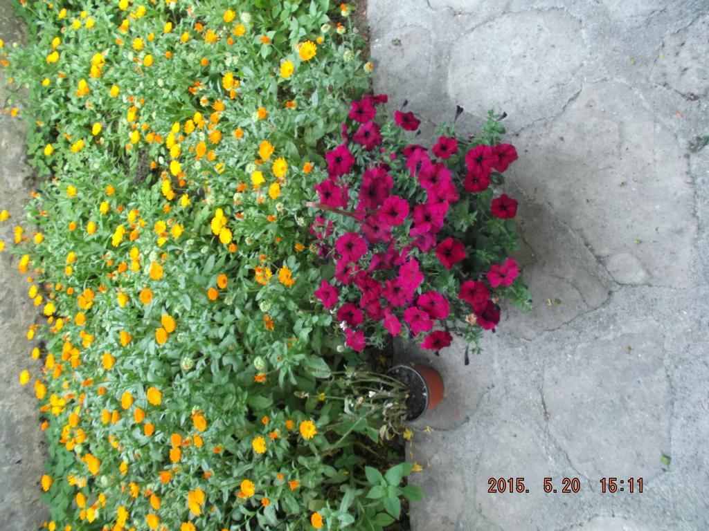 Beyaz Konak Green Garden Hotel Safranbolu Exterior photo