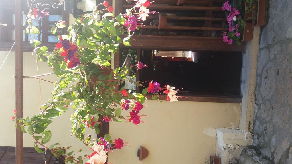 Beyaz Konak Green Garden Hotel Safranbolu Exterior photo